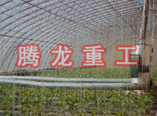 大棚花卉供暖設(shè)備、大棚卉采暖設(shè)備、大棚花卉取暖設(shè)備