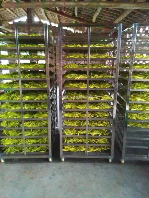 黃花菜烘干機(jī)、黃花菜烘干設(shè)備、黃花菜干燥機(jī)、黃花菜干燥設(shè)備、